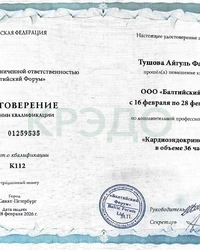 Сертификат 1